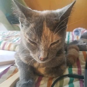 Meet your Posher, Maria